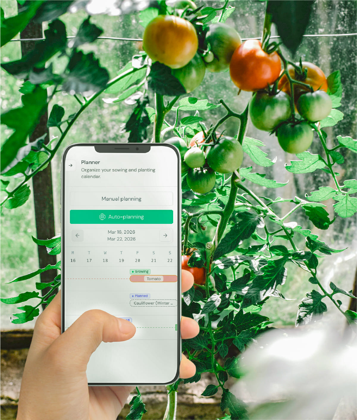 Crop9 planting calendar view